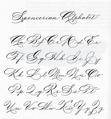 Spencerian Calligraphy Alphabet, Spencerian Script Alphabet, Spencerian Alphabet, Script Lettering Alphabet, Spencerian Handwriting, Spencerian Penmanship, Spencerian Script, Calligraphy Letters Alphabet, Tattoo Script Fonts