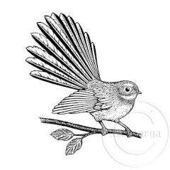 Fantail Drawing, Piwakawaka Tattoo, Fantail Tattoo, Paint Carving, Kiwi Birds, Nz Birds, Maori Symbols, New Zealand Tattoo, Bird Stencil