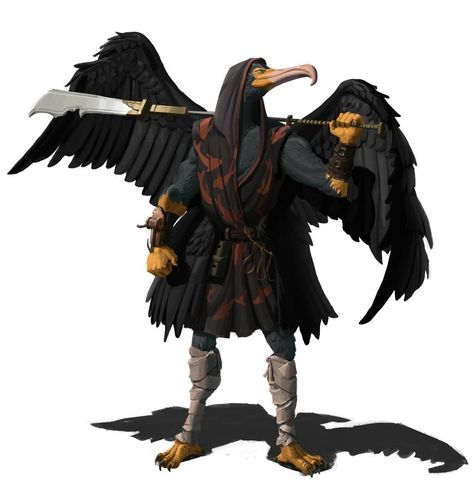 Dnd Aarakocra Monk, Bird People, My Fantasy World, Fantasy Races, Dungeons And Dragons Characters, Dnd Art, Fantasy Rpg, Dnd Characters, Creature Design