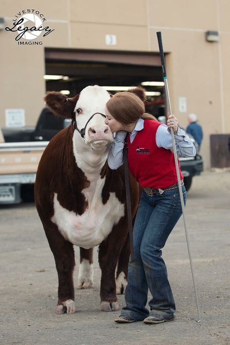 You’re never too old to kiss your cows ❤️ Country Aethstetic, Cow Showing, Cattle Showing, Farm Senior Pictures, Livestock Quotes, Roping Dummy, Show Cows, Livestock Feed, Cute Horse Pictures