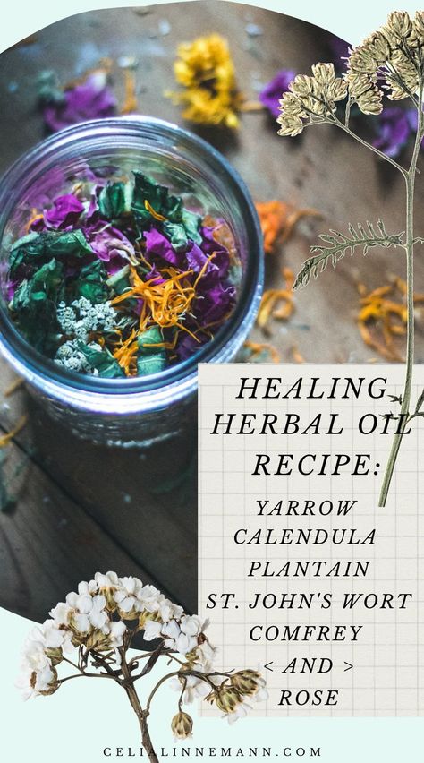 Herbal Oil Recipes, Infused Oil Recipes, Herbal Oils, St John's Wort, Herbal Remedies Recipes, Herbal Salves, Infused Oil, Herbal Tinctures, Herbal Recipes