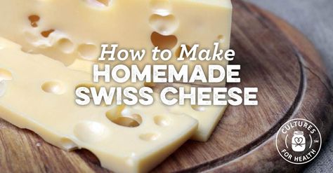 Learn to make traditional Swiss cheese with our easy-to-follow instructions and recipe. Swiss Cheese Recipes, Homemade Cheeses, Cheese Recipes Homemade, Cheese Making Recipes, Cheese Cave, Fresh Ricotta, Making Cheese, Diy Cheese, Cheese Mozzarella