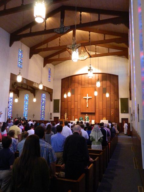 Florida | St. Thomas More Catholic Cathedral in Tallahassee, FL - Inside view from your Trinity Stores crew. Inside Church With People, Catholic Cathedrals, St Thomas More, Money Template, Catholic Churches, Religious Artwork, Beautiful Churches, Cathedral Church, Gothic Architecture