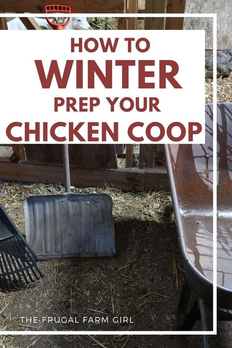 Winterizing Chicken Coop, Caring For Chickens, Chicken Coop Winter, Chickens In The Winter, Keeping Chickens, Raising Chickens, Be Happier, Farm Girl, Chickens Backyard