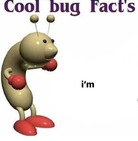 Cool Bug Facts, Bug Facts, Trending Images, Cool Bugs, B Words, Reaction Images, Dark And Twisted, Minecraft Memes, Snapchat Funny