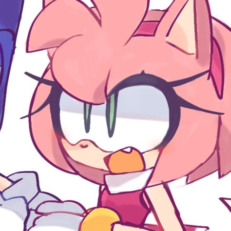 Sonic Tails And Amy Matching Pfp, Amy And Sonic Matching Pfp, Sonamy Matching Icons, Sonic And Amy Matching Pfp, Amy Rose Pfp, Super Amy Rose, Sonic Matching Pfp, Winter Pins, Sonic Characters