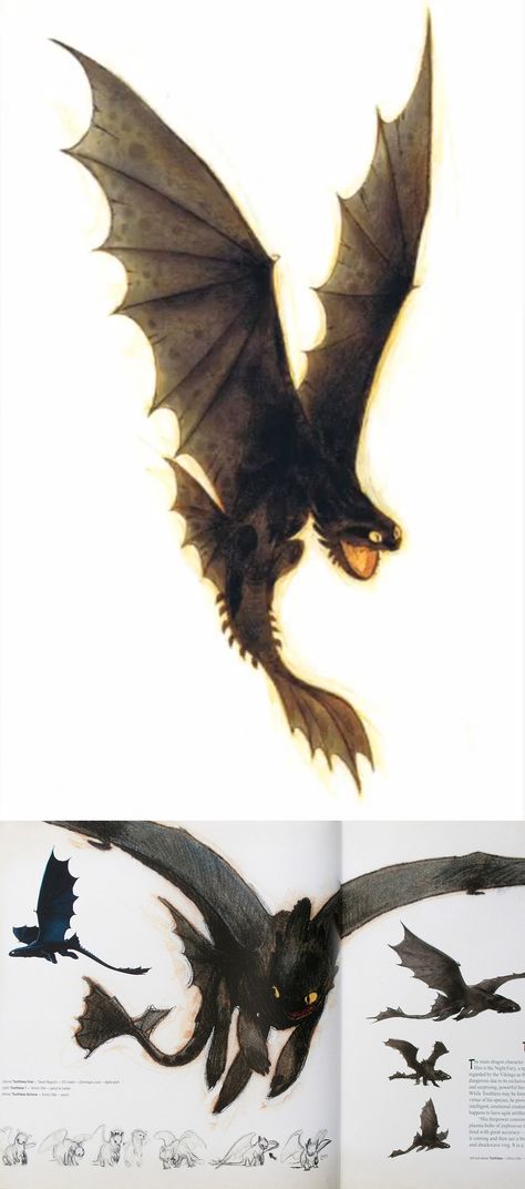 How To Train Your Dragon concept art by Simon Otto Httyd Concept Art, Concept Art Landscape, Httyd Art, Httyd Dragons, Dragon Trainer, Art Disney, Train Your Dragon, Toothless, 판타지 아트