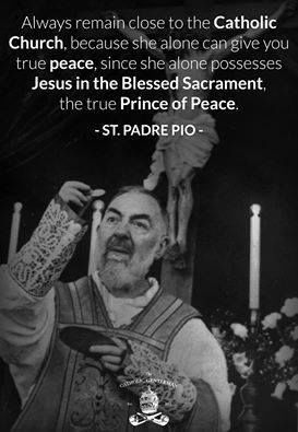 "Always remain close to the Catholic Church because she alone can give you true peace, since she alone possesses Jesus in the Blessed Sacrament, the true Prince  of Peace." - Padre Pio Padre Pio Quotes, Catholic Gentleman, Catholic Beliefs, Saint Quotes Catholic, Saint Quotes, Catholic Quotes, Catholic Prayers, Religious Quotes, Roman Catholic