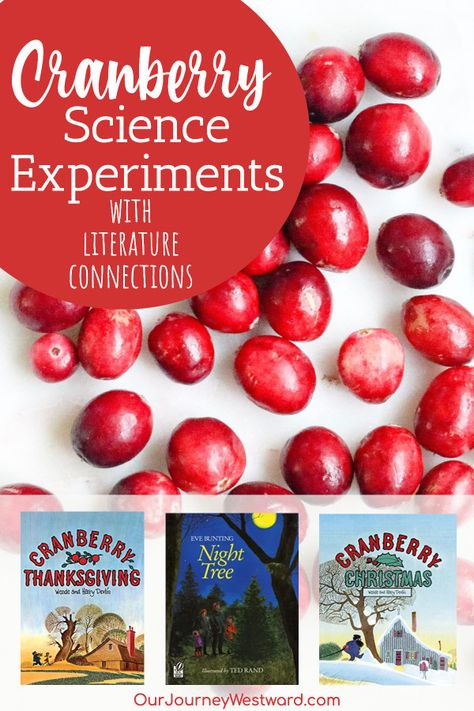 Cranberry Science Experiments for Kids + Literature Connections Cranberry Thanksgiving Book, Cranberry Thanksgiving, Christmas Picture Books, Science Experiments For Kids, Experiments For Kids, Thanksgiving Preschool, Chemistry Experiments, Cooking Classes For Kids, Christmas School