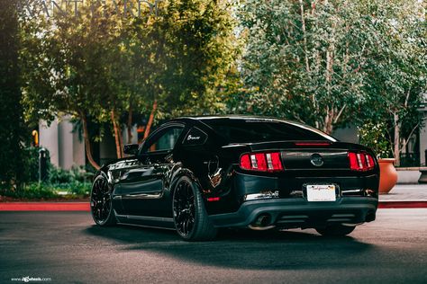 2011 Mustang Gt, 2011 Mustang, 2012 Mustang, 2000 Ford Mustang, 2014 Mustang, Mustang Wallpaper, Cool C, 2014 Ford Mustang, Pimped Out Cars