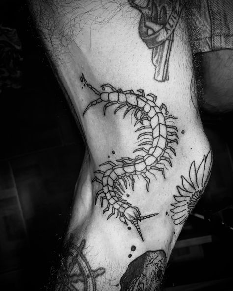 •CENTIPEDE• #centipedetattoo #centipede #tattoo #blackworktattoo #blackwork #centipedesofinstagram #centipedes #art #ink #tattoos #tattooartist #traditionaltattoo #tattooflash #blacktattoo #centipedenation #darktattoo #blackworkers #insect #centipedetool #dotworktattoo #centipedeghoul #scolopendra #blackandgreytattoo #insects #illustration #skulltattoo #vietnamesecentipede #centipedesupport #darkarttattoo #inktouch Insects Illustration, Centipede Tattoo, Centipedes, Dark Art Tattoo, Dot Work Tattoo, Dark Tattoo, Blackwork Tattoo, Art Ink, Black And Grey Tattoos