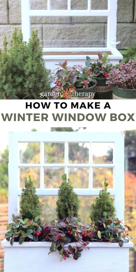 Fall Winter Window Boxes, Evergreen Window Boxes, Winter Flower Boxes Window, Christmas Flower Boxes, Winter Window Painting Ideas, Window Christmas Decor Ideas, Winter Window Painting, Window Boxes Ideas, Christmas Porches