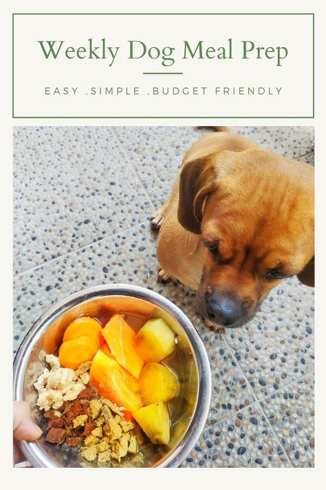 How to make food for your dog , easy ,simple ,budget friendly Puppy Meal Prep, Dog Meal Prep, Simple Meal Prep, Weekly Meal Prep, Make Food, Dog Happy, My Puppy, Simple Budget, Breakfast Meal Prep