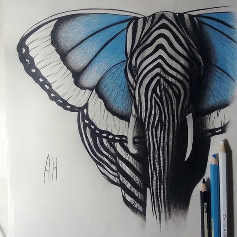 #zelephant #elephant #elephants #butterfly #zebra #animal #Africa #summer #beautiful #drawing #shadow #mix #fabercastell #nawden #black #blue #hot #Sweden #eyes #wings #ears #stripes #amazing Butterflies Drawings, Elephant Butterfly, Elephant Art, An Elephant, A Drawing, Art Plastique, 그림 그리기, Drawing Inspiration, Cool Drawings