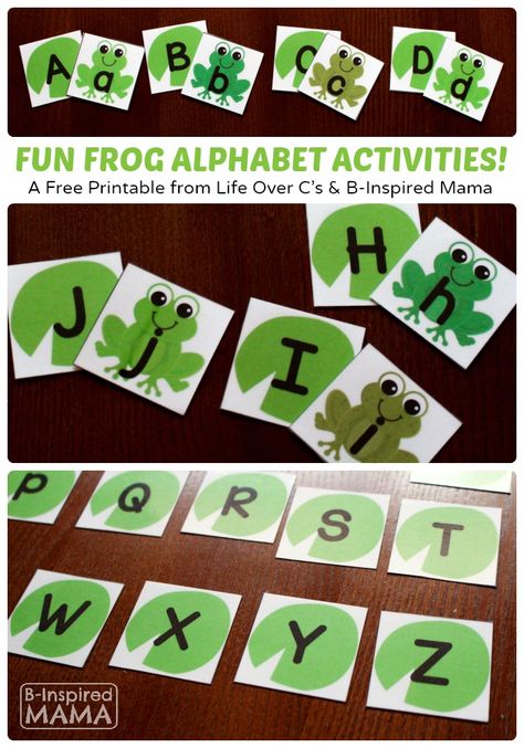 Free Frog Printable Alphabet Activities fpr Prschool Learning at B-Inspired Mama Frog Life Cycle Preschool Activities, Frogs Preschool, Pond Life Theme, Frog Classroom, Frog Activities, Frog Theme, Frog Crafts, Abc Activities, Preschool Literacy