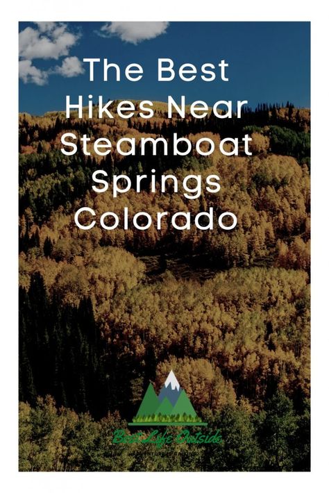 Steamboat Springs Colorado Summer, Colorado Hikes, Steamboat Colorado, Steamboat Springs Colorado, Colorado Fall, Colorado Summer, Spring Hiking, Summer Hike, Hiking Dogs