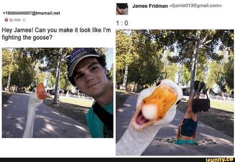 1 : Hey James! Can you make it look like I'm ﬁghting the goose? – popular memes on the site iFunny.co #winner #celebrities #james #fjamie #photoshop #goose #fight #lost #losing #winner #funny #weird #jamesfridman #hey #can #make #im #ghting #pic Funny Photoshop Requests, Photoshop Funny, Softball Pics, Doug Funnie, Funny Photoshop Pictures, James Fridman, Photoshop Help, Photoshop Fails, Softball Pictures