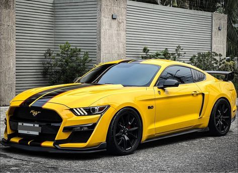 Ride Royalty: Unwrapping the World's Finest Luxury Automobile Yellow Mustang, 2022 Ford Mustang, Ford Company, Mustang Gt350, Ford Mustang 2015, Autos Ford, Shelby Car, Mustang Car, Mustang 2015