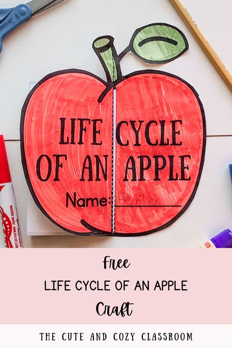 apple worksheets for preschool Plant Life Cycle Free Printable, Life Cycle Crafts For Toddlers, Life Cycle Of An Apple Printable Free, Life Cycle Of An Apple Preschool, Life Cycle Crafts For Preschoolers, Life Cycle Activities For Preschoolers, Apple Life Cycle Printable Free, Preschool Life Cycle Activities, Plant Life Cycle Craft