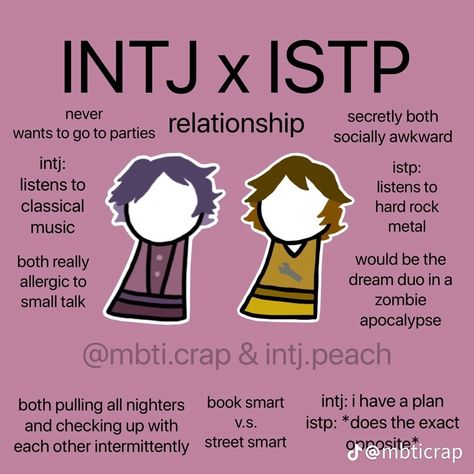 Estp X Intj, Intj X Istp, Intj Estp, Istp Type, Intp X Istp, Istp Intj, Dr. Bright, Istp Personality, Mbti Test