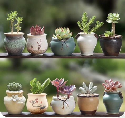 Clay Succulent Pots, Mini Succulent Pots, Succulents Indoor Display, Ceramic Planters Indoor, Pottery Plant Pots, Flower Pot Ceramic, Paris Crafts, Succulent Bowls, Ceramic Succulent Pots