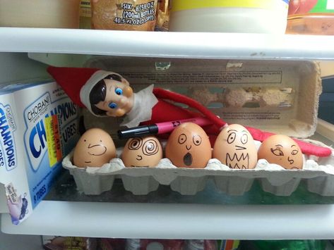 Elf on the self in the fridge. Draw faces on eggs with black maker. Elf On The Shelves, Elf Ideas Easy, Timmy Time, Elf Magic, Awesome Elf On The Shelf Ideas, Elf Activities, Xmas Elf, Elf Antics, Elf Fun