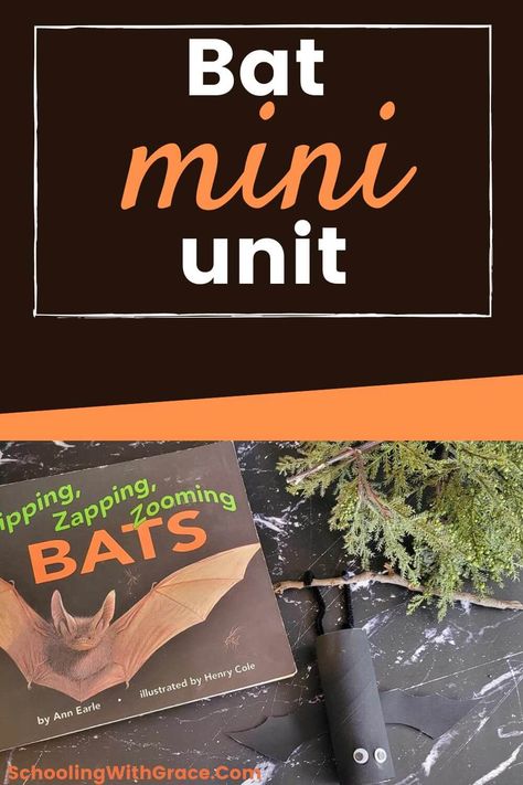 Bats For Kindergarten, Bats Preschool Activities, Bat Science Experiments, Bat Activities For Kids, Bats Unit Study, Bats Science, Bat Activities, Bat Habitat, Bumblebee Bat