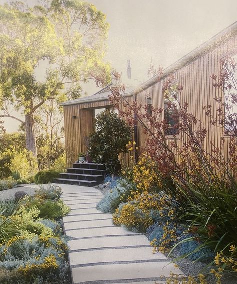 Australian Garden Design, Bush Garden, Australian Native Garden, Coastal Garden, Native Gardens, Courtyard Gardens Design, Landscaping Inspiration, Australian Garden, Coastal Gardens