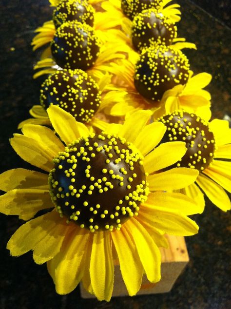 Sunflower Cake Pops Sunflower Cake Pops, Cake Pops Baby Shower Girl, Flower Baby Shower Theme, Pink Baby Shower Cake, Sunflower Cake, Cake Pop Designs, Sunflower Party, Sunflower Baby Showers, Pop Cupcakes