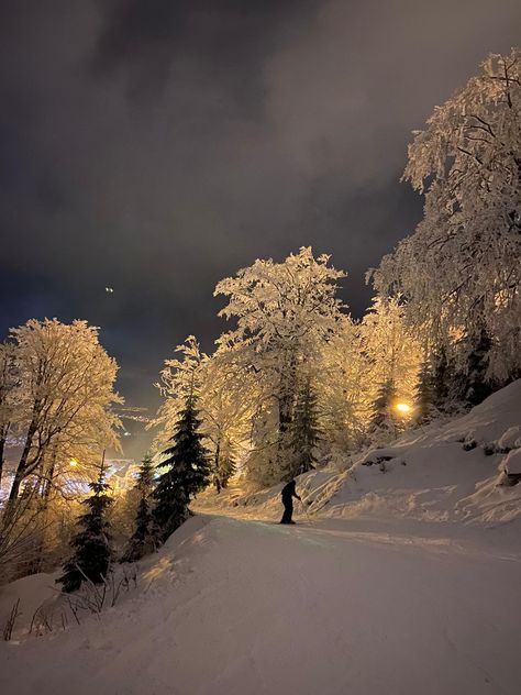 Snow
White
Trees
Night Winter Without Snow, Hair Style On Saree, Snow Night, Winter Mood, Cold Nights, Winter Scenery, Cold Night, Winter Beauty, Winter Nights