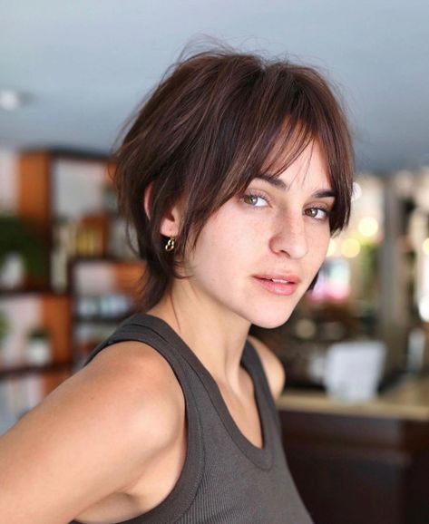 Long Fine Hair, 90s Haircuts, Brunette Pixie, Short Choppy Haircuts, Easy Care Hairstyles, Choppy Haircuts, Short Hairstyles Fine, Bob Hairstyles For Fine Hair, Pixie Bob