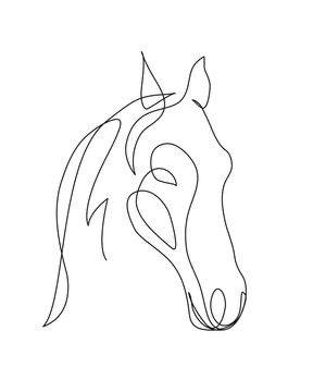 Horse Line Drawing, Animal Lover Tattoo, Line Drawing Images, Horse Tattoo Design, Bird Paintings On Canvas, Drawing Scenery, Minimal Drawings, Bird Paintings, Horse Tattoo