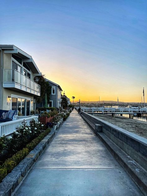 Balboa Island Newport Beach, Exercise Walking, Balboa Island, Morning Exercise, Walking Dog, Newport Beach California, California Living, Morning Workout, Balboa