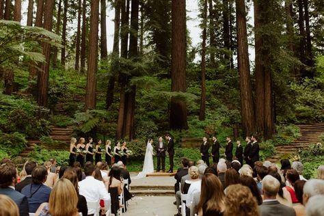 Nestldown Wedding, Redwoods California, California Redwoods, Cathedral Length Veil, The Redwoods, Beautiful Love Stories, Wedding Team, Wedding Planning Advice, Magical Wedding