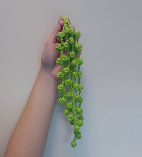 Crochet String Of Pearls Free Pattern, Crochet Succulents Free Pattern, Crochet Plants Free Pattern, Crochet House Plants, Crochet String Of Pearls, Cactus Corner, Crocheted Plants, Succulent Inspiration, Beginners Amigurumi