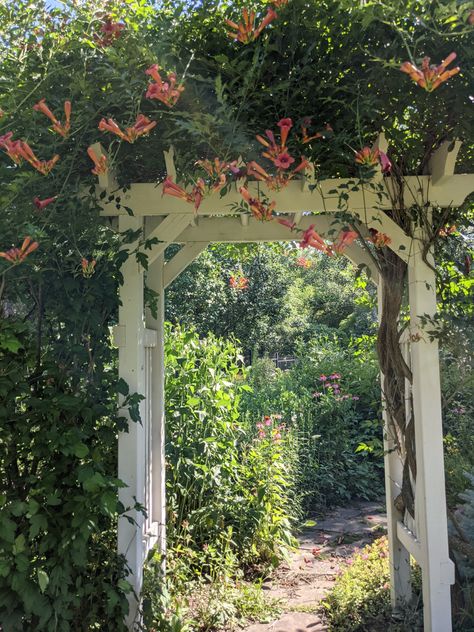 Ontario Garden, Flagstone Pavers, Fine Gardening Magazine, Flagstone Path, Garden Inspo, Trumpet Vine, Hydrangea Paniculata, Fine Gardening, Stone Path