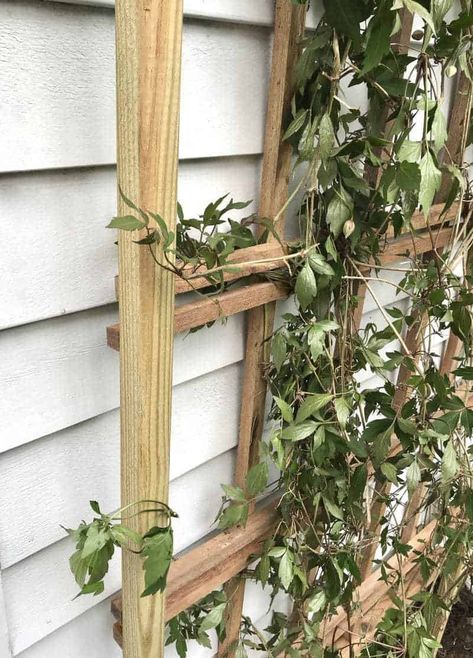 How To Build A Simple Custom Sized Wood Trellis - Shine Your Light Heavy Duty Trellis, Cedar Trellis, Vertical Garden Wall Planter, Building A Trellis, Brick Hearth, Mercury Glass Diy, Fireplace Pictures, Wood Trellis, Clematis Plants