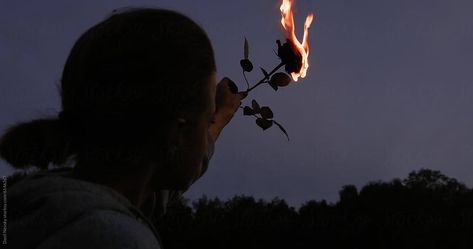 A woman holding a burning rose at dusk, with a darkening sky and forest silhouette in the background. Burning Rose, Forest Silhouette, Free Stock Video, Don't Judge, Hopeless Romantic, Stock Video, A Woman, Forest, Quick Saves