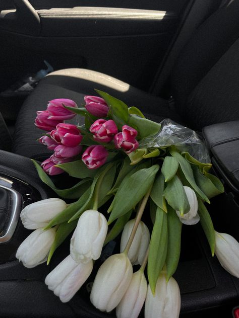 Pink and white tulips in front passenger seat of car Flowers In Passenger Seat Aesthetic, Flowers In Passenger Seat, Car Passenger Seat Aesthetic, Passenger Seat Aesthetic, Aesthetic Tulips, Iphone Wallpaper Inspirational, Wallpaper Inspirational, Market Flowers, Super Market