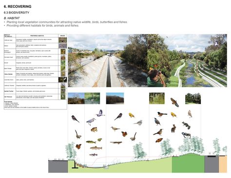 bird section Planting Strategy Landscape Architecture, Architectural Programming, Matrix Planting, Landscape Architecture Plants, Matrix Diagram, Plant Diagram, Korea Landscape, Evergreen Bush, Build Outdoor Kitchen