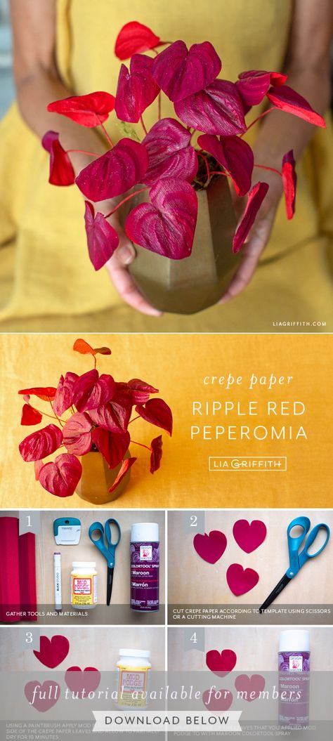 How to Make a Crepe Paper Red Peperomia Plant - Lia Griffith - created via https://pinthemall.net Crepe Paper Succulents, Red Peperomia, Crepe Paper Leaves, Crepe Flowers, Felt Flowers Patterns, Crepe Paper Flowers Diy, Paper Succulents, Peperomia Plant, Paper Garden