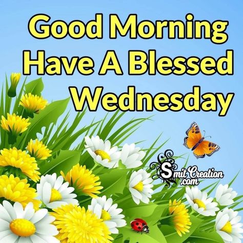 Wednesday Images, Pictures and Graphics - SmitCreation.com - Page 2 Good Morning Happy Wednesday Images, Have A Blessed Wednesday, Good Morning Wednesday Images, Good Morning Happy Wednesday, Good Morning Lord, Wednesday Morning Greetings, Wednesday Images, Happy Wednesday Images, Wednesday Greetings