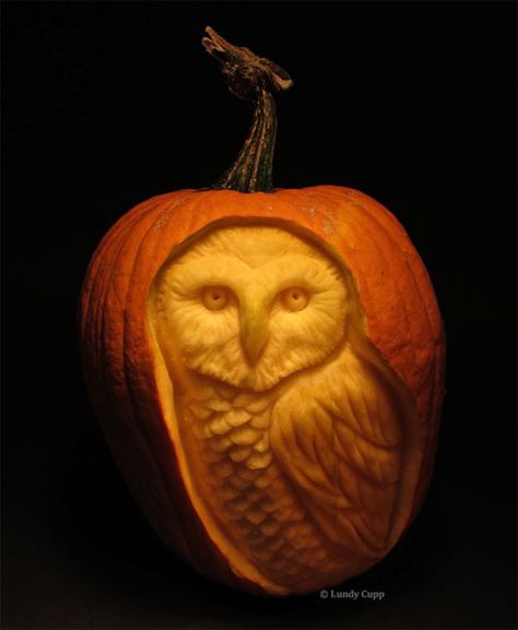 Pumpkin Carving Tutorial, Owl Pumpkin Carving, Pumpkin Sculpting, Pumpkin Owl, Carving Tutorial, Hedwig Owl, Owl Pumpkin, Pumpkin Carver, Pumkin Carving