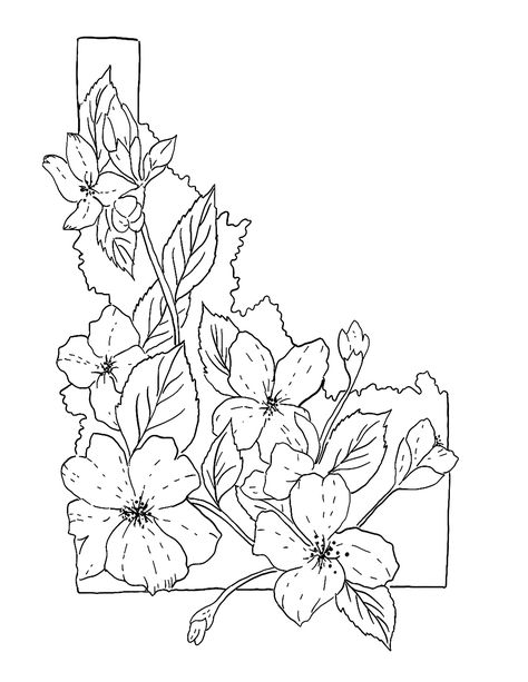 Syringa Flower Drawing, Idaho Flower Tattoo, Idaho State Flower Tattoo, Idaho Wildflowers Tattoo, Syringa Flower Tattoo, Syringa Tattoo, Idaho Tattoo Ideas, Idaho Drawing, Idaho Tattoo