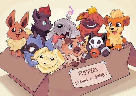 Adopt A Puppy, Pokemon Breeds, Oc Pokemon, Pokemon Eeveelutions, Pokemon Oc, Cute Pokemon Pictures, Pokemon Eevee, Pokemon Comics, Pokemon Memes