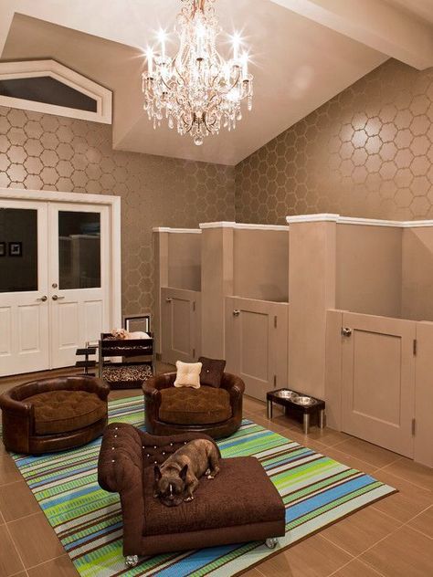 So doing this for my 3 dogs in the new house!  Dog room gone to the extreme! Dog Bedroom Decor, Dog Room Design, Dog Room Decor, Dog Bedroom, Puppy Room, Dog Spaces, Dog Room, Dog House Diy, Dog Area