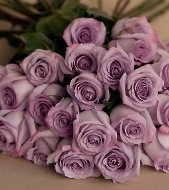 sterling silver roses Sterling Roses, Mothers Day Flowers, Lavender Roses, All Things Purple, Love Rose, Purple Roses, Beautiful Blooms, Love Flowers, My Flower