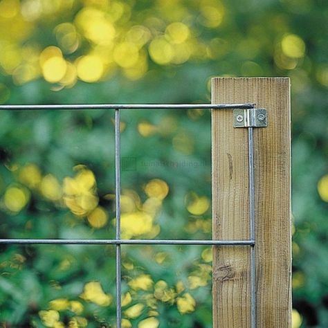 Wooden Fence Design, Backyard Wood Fence, Wood Fence Ideas, Fence Ideas, Vegetable Garden Design, Backyard Fences, Wooden Fence, Wood Fence, Garden Trellis