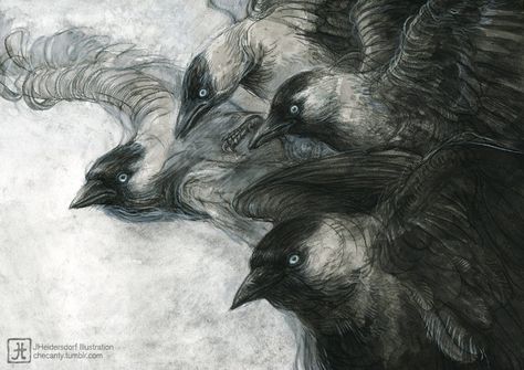 Jana Heidersdorf, Dark Souls 4, Mine Photo, Black Birds, Jackdaw, Raven Art, Film Poster Design, Book Illustration Art, Charcoal Art