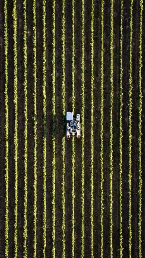 Viticulture Agriculture, Agriculture Land, Agriculture Photos, Agriculture Drone, Farm Aerial View, Farm Business, Adobe Lightroom Cc, Cattle Farming, Tumblr Photography